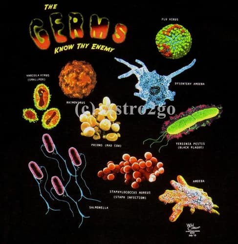 GERMS-2 sided Science Biology Health Medical Teacher T shirt NEW! Size M-3XL